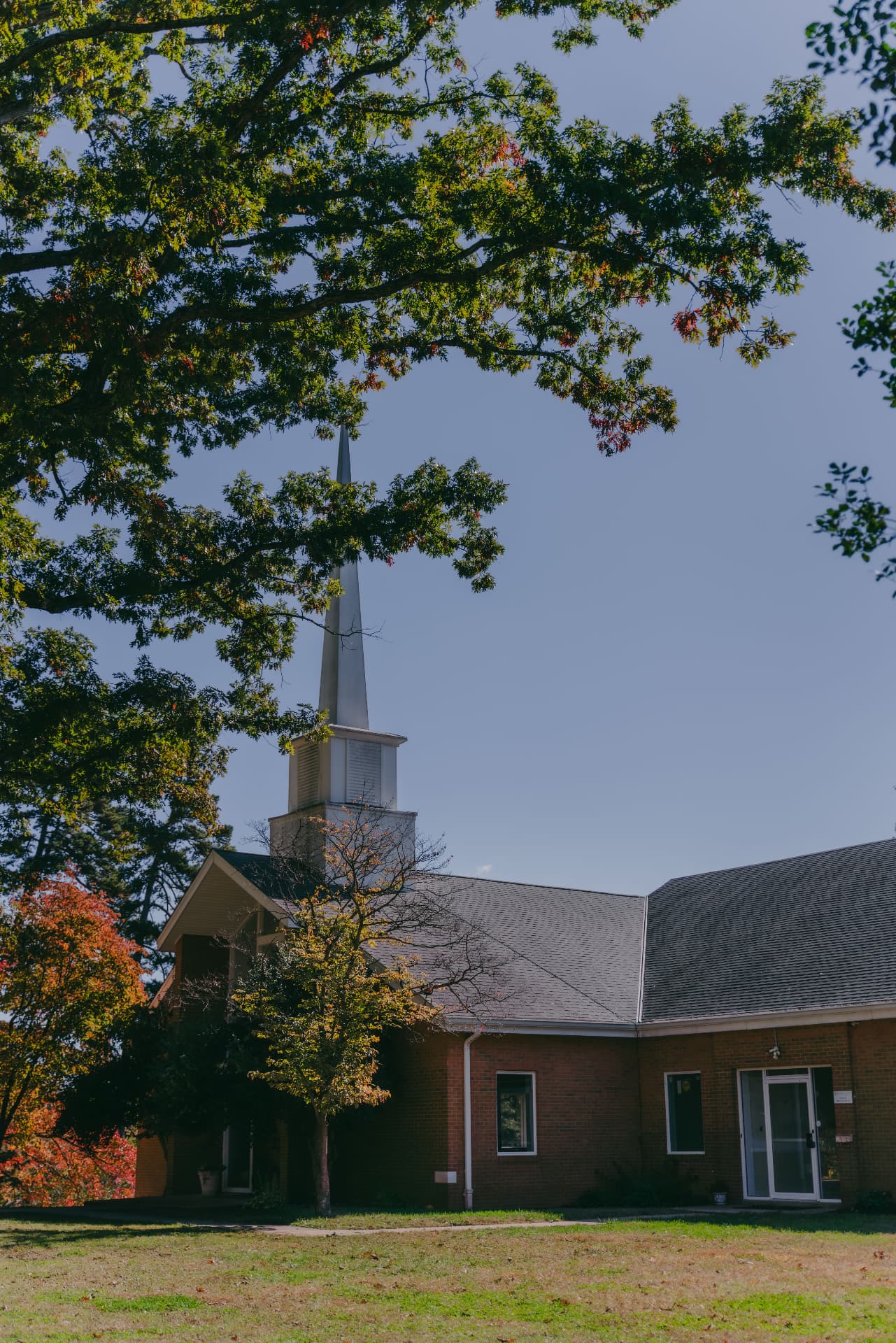 The brick building and white steeple of Jefferson Park Baptist Church seen through the oak trees